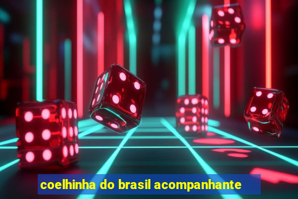 coelhinha do brasil acompanhante